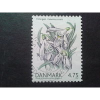 Дания 2006 цветы