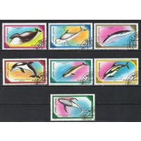 Млекопитающие Дельфины Монголия 1990 год серия из 7 марок