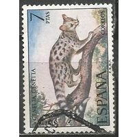 Испания. Дикая кошка. 1972г. Mi#2001.