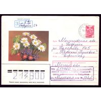 Цветы Бобруйск 492