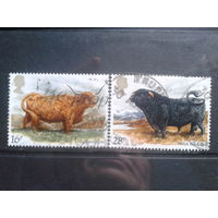 Англия 1984 Породы британских коров Михель-1,7 евро гаш
