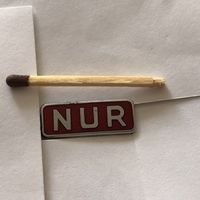 NUR(National Union of Railwaymen). Профсоюз железнодорожных работников Великобритании(фрачник тяж + горячая эмаль)