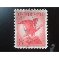 США 1963 орел