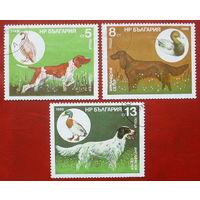 Болгария. Собаки. ( 3 марки ) 1985 года. 9-19.