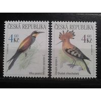 Чехия 1999 фауна лесные птицы **