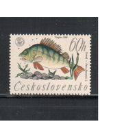Чехословакия-1966,(Мих.1610)  **  , Фауна, Рыбы