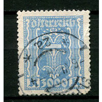 Австрия - 1922 - Стандарты 3000Kr - [Mi.396] - 1 марка. Гашеная.  (Лот 58K)
