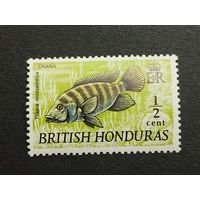 Британский Гондурас 1971. Рыбы. Полная серия