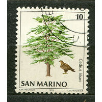 Ливанский кедр. Сан-Марино. 1979