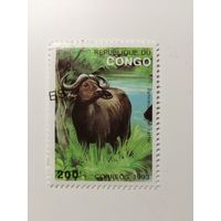 Конго 1993. Животные. Фауна