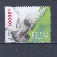 [689] Польша 1994. Фауна.Птицы.Голубь. Гашеная марка.