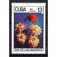 1987 Куба. День матери