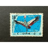 Конго 1963. Охраняемые птицы