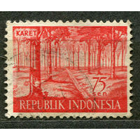 Сбор каучука. Индонезия. 1960