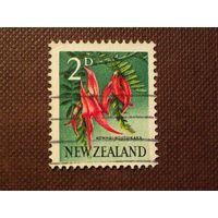 Новая Зеландия 1960 г.Клиантус./32а/