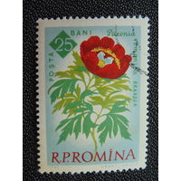 Румыния 1961 г. Цветы.