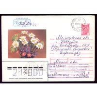 Цветы Бобруйск 978