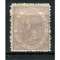 Королевство Румыния - 1891 - Король Кароль I 3B - [Mi.91] - 1 марка. MH.  (Лот 94AA)