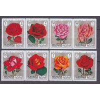 1971 Манама A411-H411Paar Цветы - Роза
