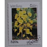 Лаос.1996.растения