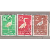 Птицы  Фауна  Румыния 1957 год лот 1007