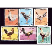6 марок 1981 год Куба Курицы