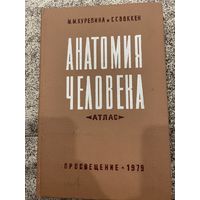 Анатомия человека. Атлас. 1979| Воккен Ганс Гансович, Курепина Милица Михайловна