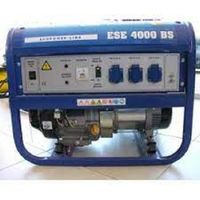 Бензиновый генератор ENDRESS ESE 4000 BS, (4500 Вт)