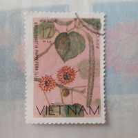 Вьетнам. Флора. Цветы