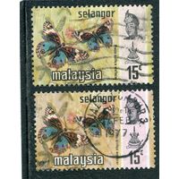 Малазийские штаты. Селангор. Бабочки