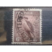 Австралия 1937 Кукабарра