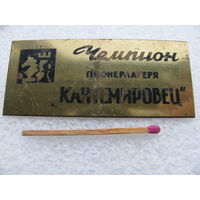 Знак. Чемпион пионерлагеря "Кантемировец". шахматы. тяжёлый