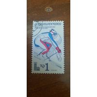 Чехословакия 1980. Зимние олимпийские игры Лэйк Плэйсид-80. Марка из серии