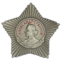 Копия Орден Суворова III степени 2-й вариант