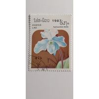 Лаос 1987. Цветы. Орхидеи