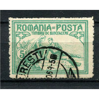 Королевство Румыния - 1906 - Благотворительность 5B - [Mi.170C] - 1 марка. Гашеная.  (Лот 110AA)