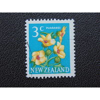 Новая Зеландия. Цветок.