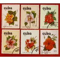 Куба. Цветы. ( 6 маок ) 1978 года. 9-23.