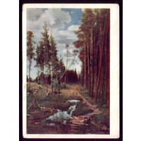 1959 год А.Саврасов Просека в сосновом лесу