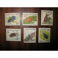 ЧССР Чехословакия 1962 фауна жуки гаш сер (С)