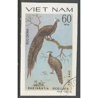 Вьетнам. Птицы. Фазан хохлатый Аргус. 1979г. Mi#1050 без зубцов.