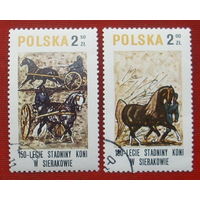 Польша. Кони. ( 2 марки ) 1980 года. 4-11.