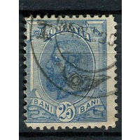 Королевство Румыния - 1900/1911 - Король Кароль I 25B - [Mi.138] - 1 марка. Гашеная.  (Лот 118AA)