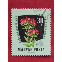 Венгрия 1961 г. Цветы.