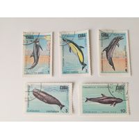 Куба 1984. Киты и дельфины