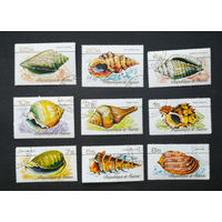 Гвинея 1977 г. Раковины моллюсков. Морская фауна, полная серия из 9 марок #0095-Ф2P18