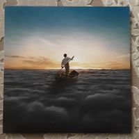 PINK FLOYD - 2014 - THE ENDLESS RIVER (EUROPE) 2LP