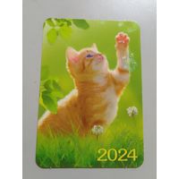 Карманный календарик. Котик. 2024 год