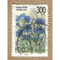 Цветы Россия 1995