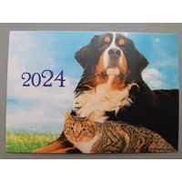 Собака и кот. Календарик, 2024, глянец